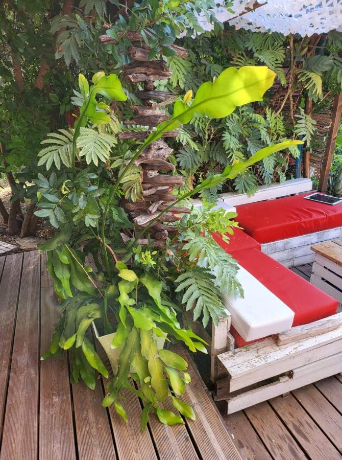 Logement De Charme Avec Piscine Et Jacuzzi Carnoules  Ngoại thất bức ảnh