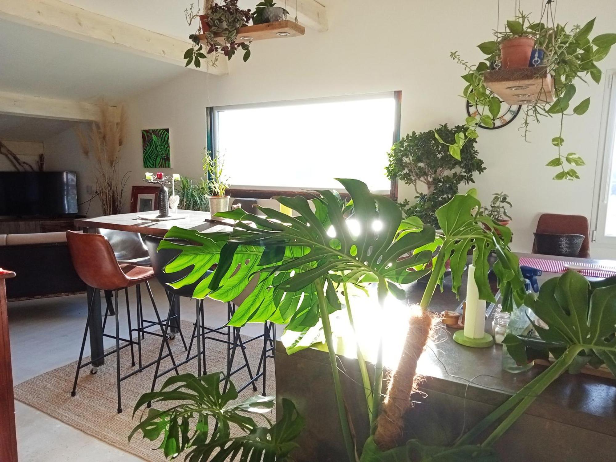 Logement De Charme Avec Piscine Et Jacuzzi Carnoules  Ngoại thất bức ảnh